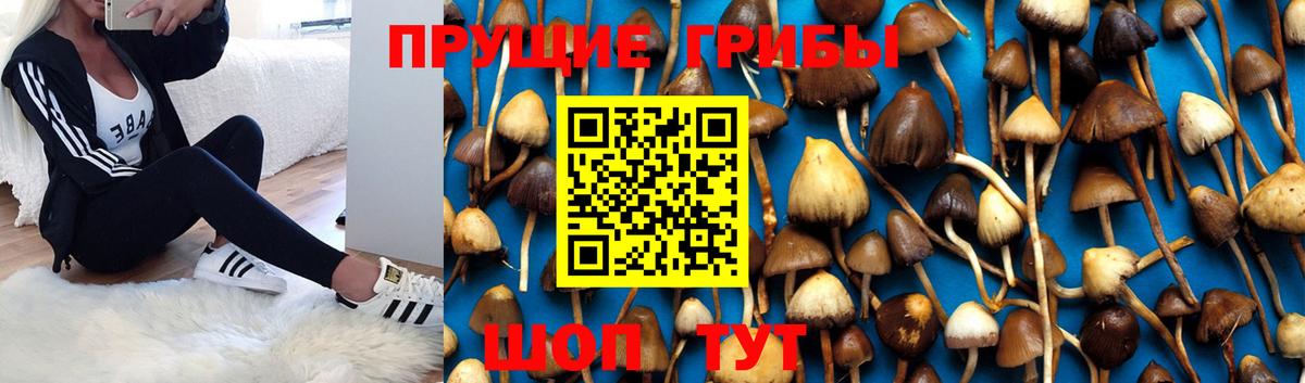 Кокаин  Гашиш  Вход с VPN  МАРИХУАНА  Донецк  ГАШИШ  Меф МЯУ МЯУ кристаллы 